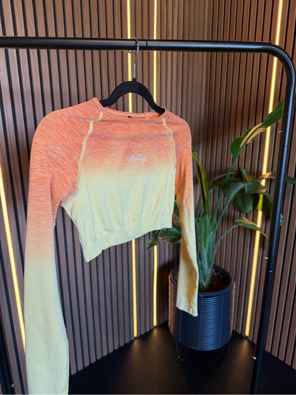 Alphalete Exclusive Edition Ombre Long-Sleeve Crop Top - Orange to Cream